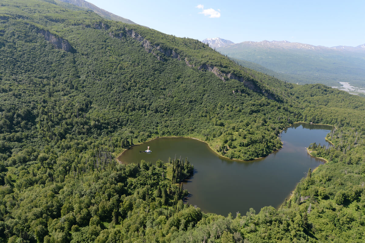 Top view of forest from the helicopter with a huge lake in the middle